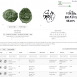 Online Russian Tsarist Coins Identification Tool 